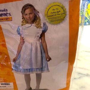 Alice Costume great condition age 8-10